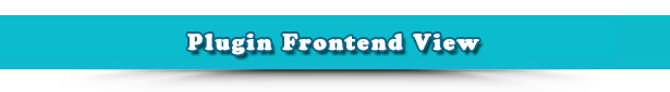 Opciones adicionales de WooCommerce con precio personalizado - 11